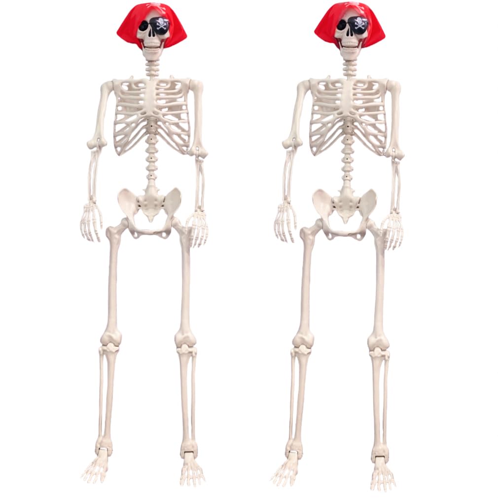Life Size Posable Skeleton Decoration J3835