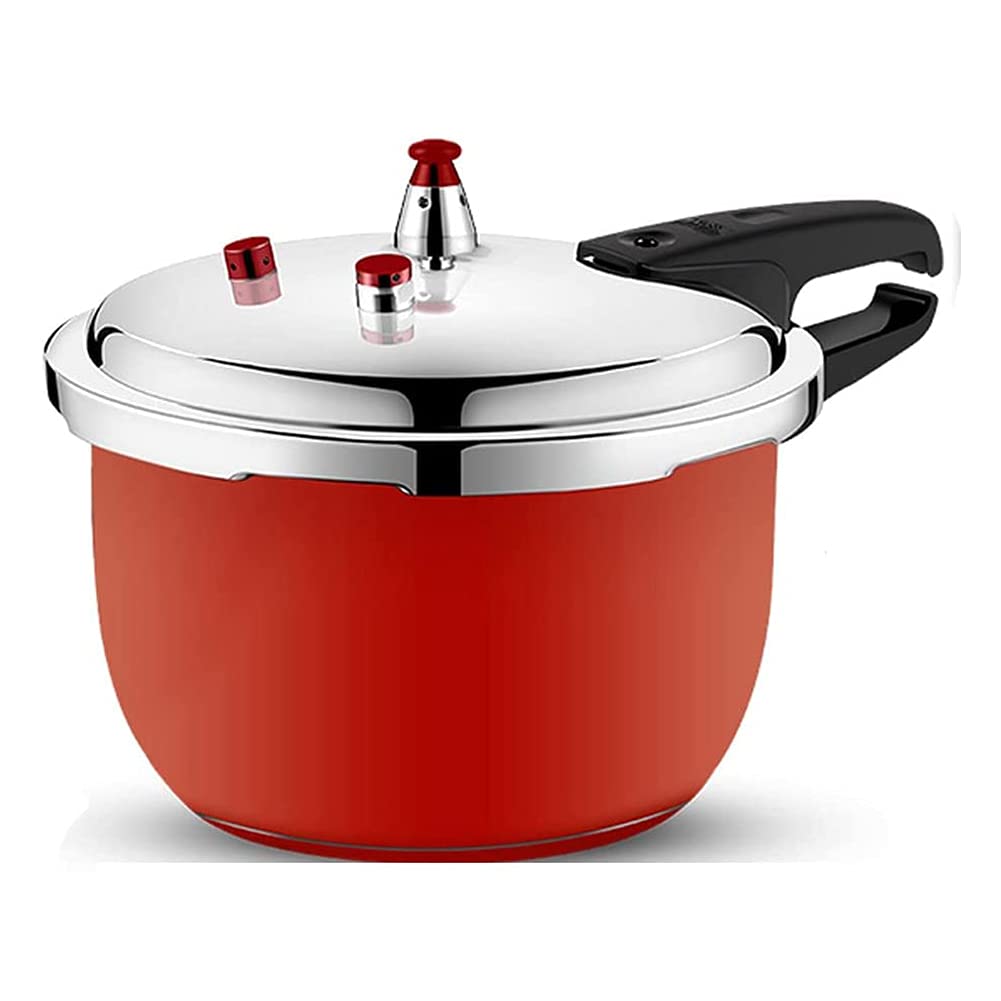 Stainless Steel 3L Pressure Cooker Y5085