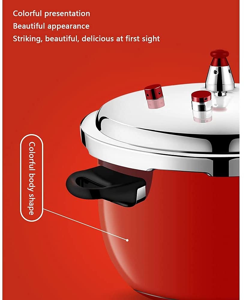 Stainless Steel 3L Pressure Cooker Y5085
