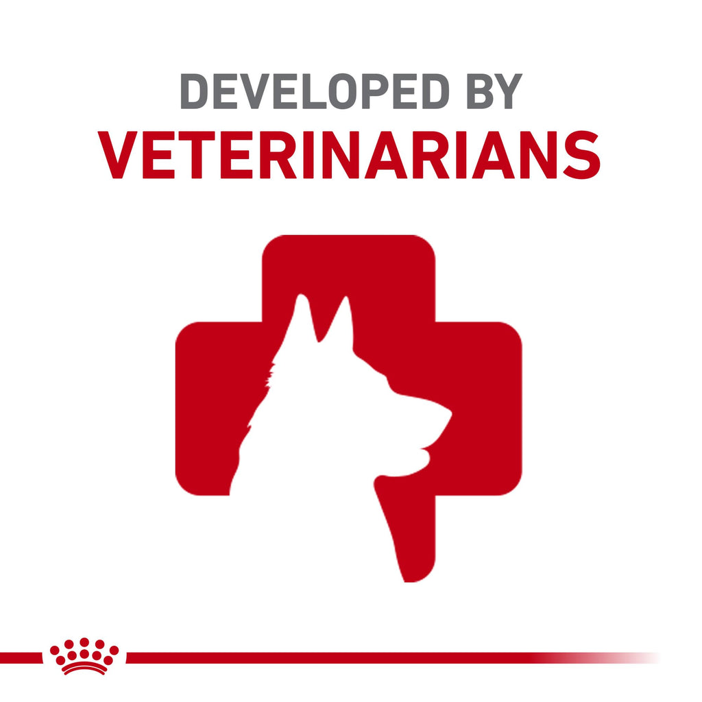 Adult Dry Dog Food 30 lb Bag P152352