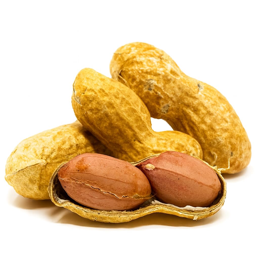 Raw Unsalted Peanuts in Shell 2.5lb E952015