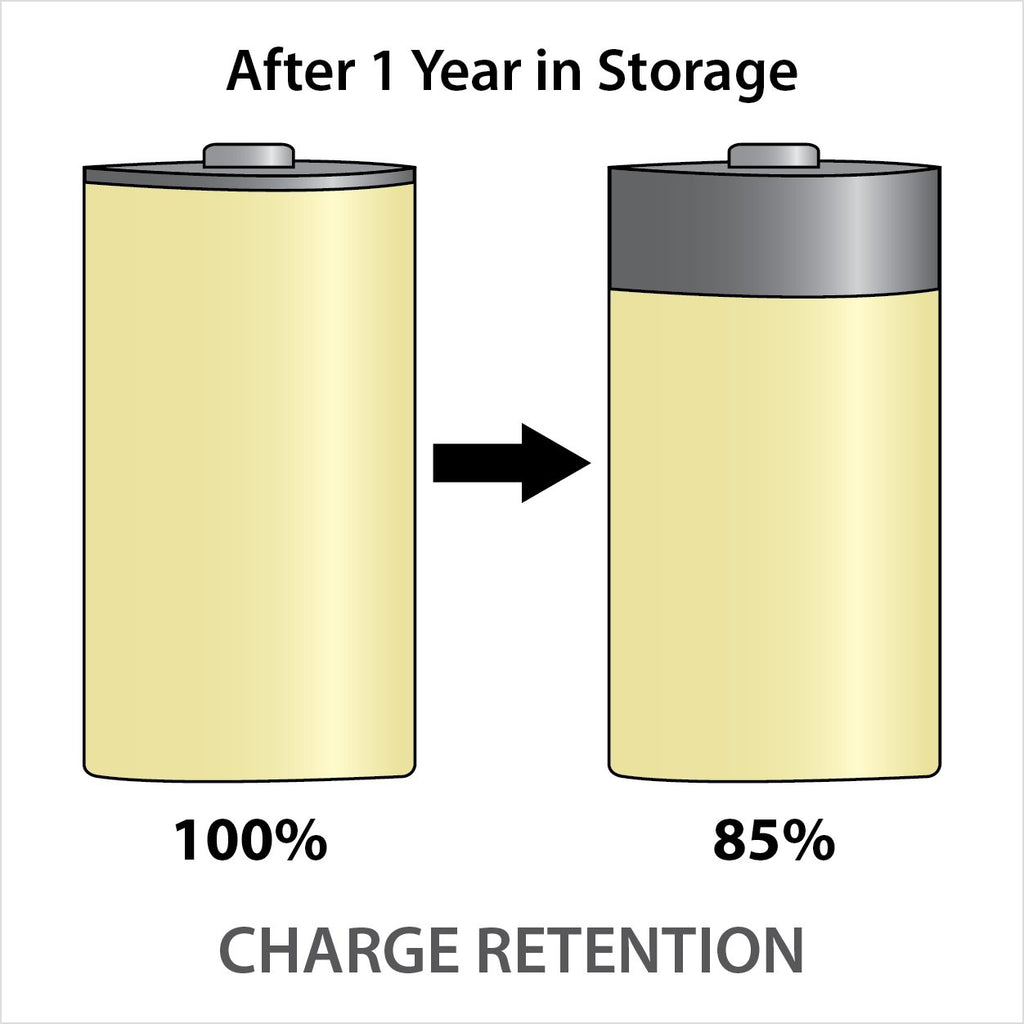 Rechargeable NiMH D Batteries 2-pack A942