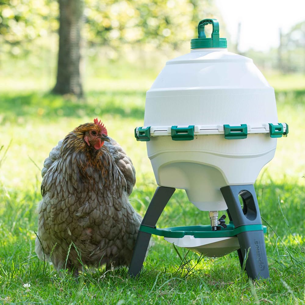 6 Gallon Top Fill Gravity Fed Poultry Waterer I240