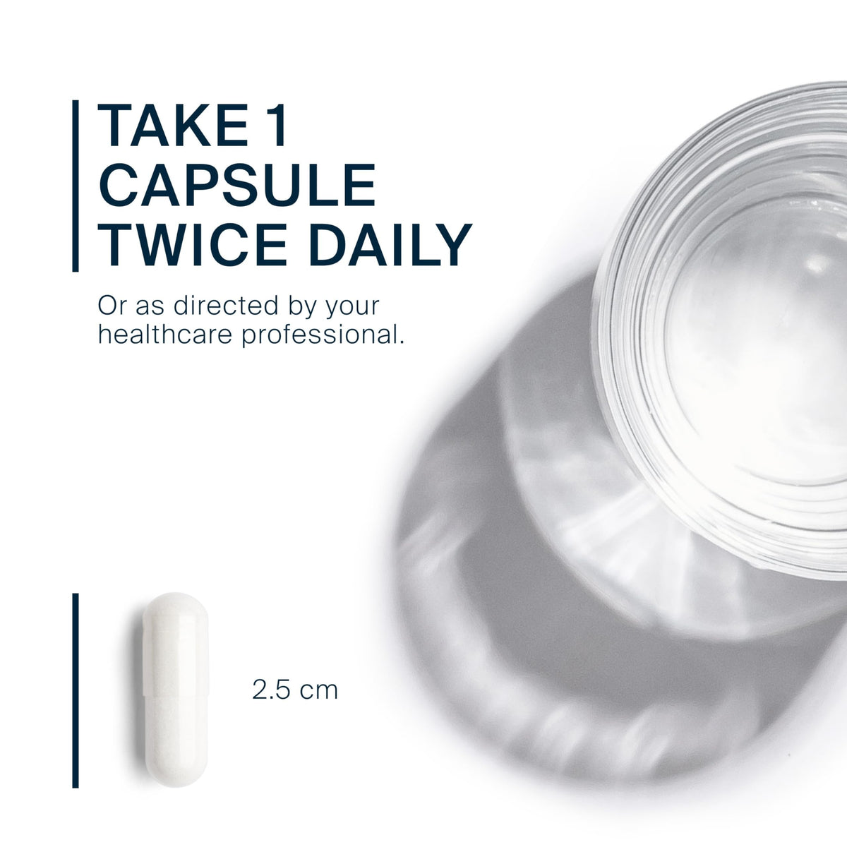 MSM 1,000mg 240 Capsules N6508