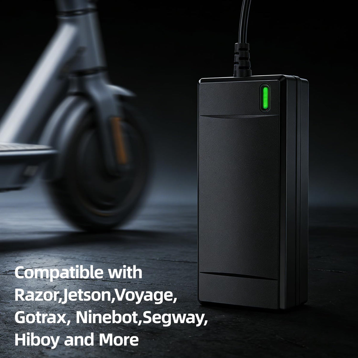 54.6V 2A Electric Bike Charger D183