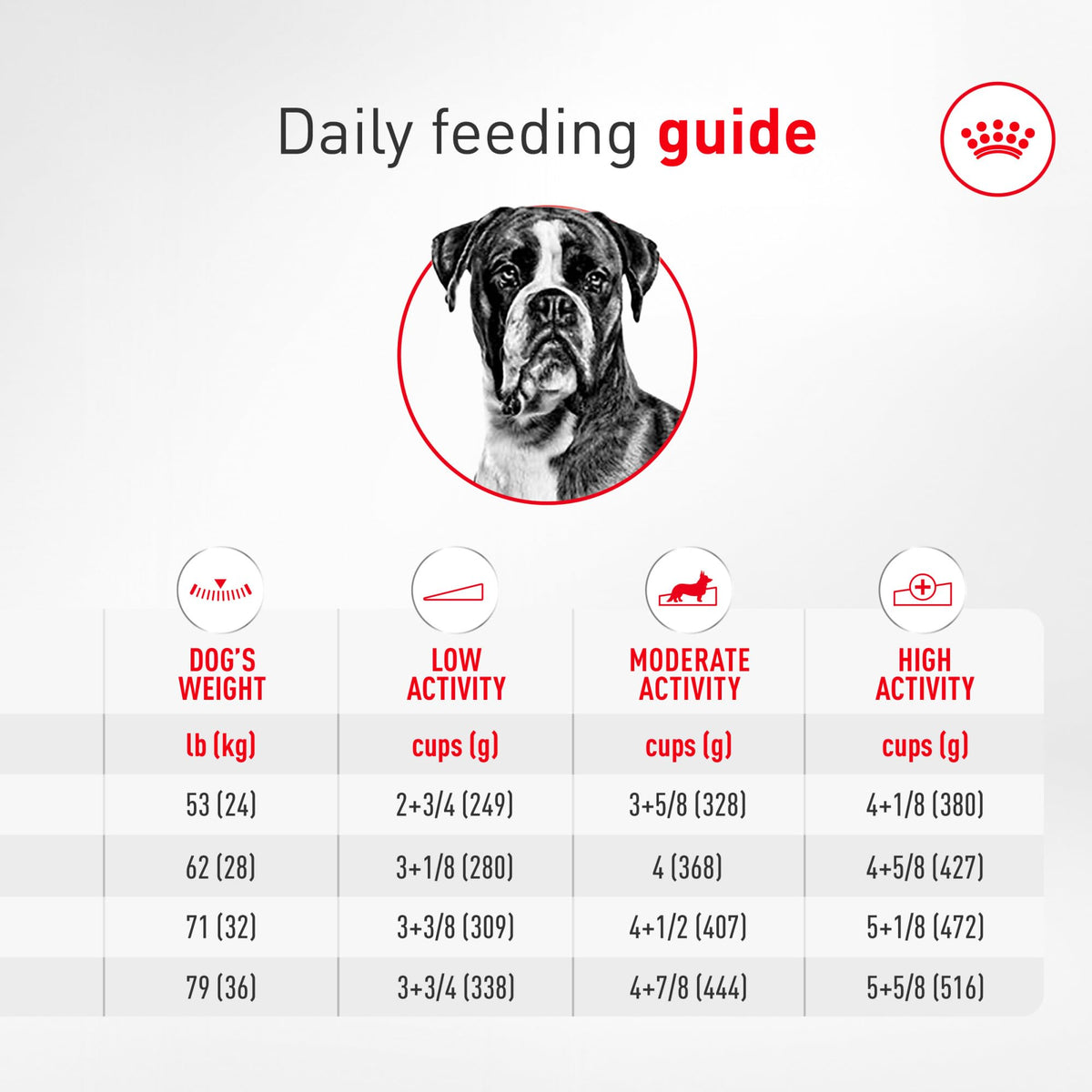 Adult Dry Dog Food 30 lb Bag P152352