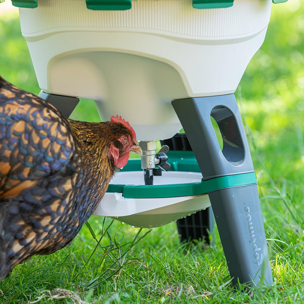 6 Gallon Top Fill Gravity Fed Poultry Waterer I240