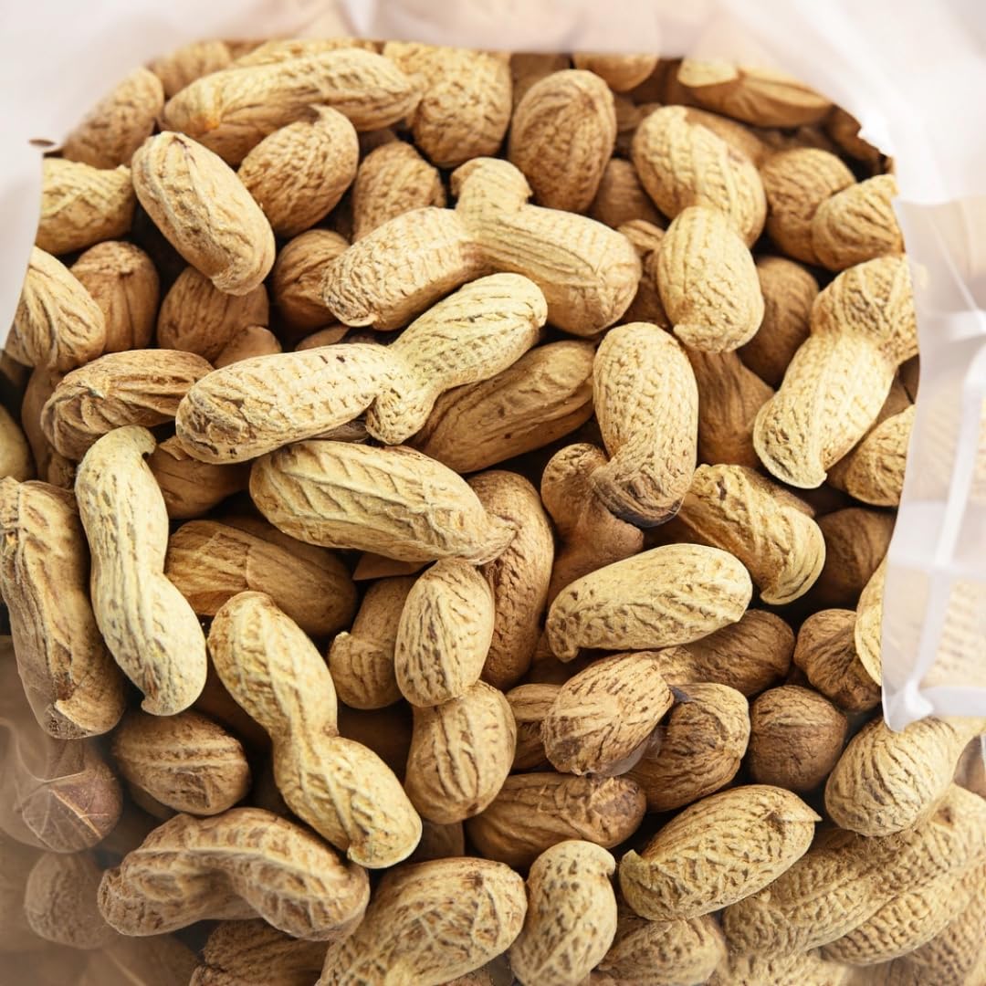Peanuts in the Shell Jumbo Size 10 LB Bulk Bag L65306