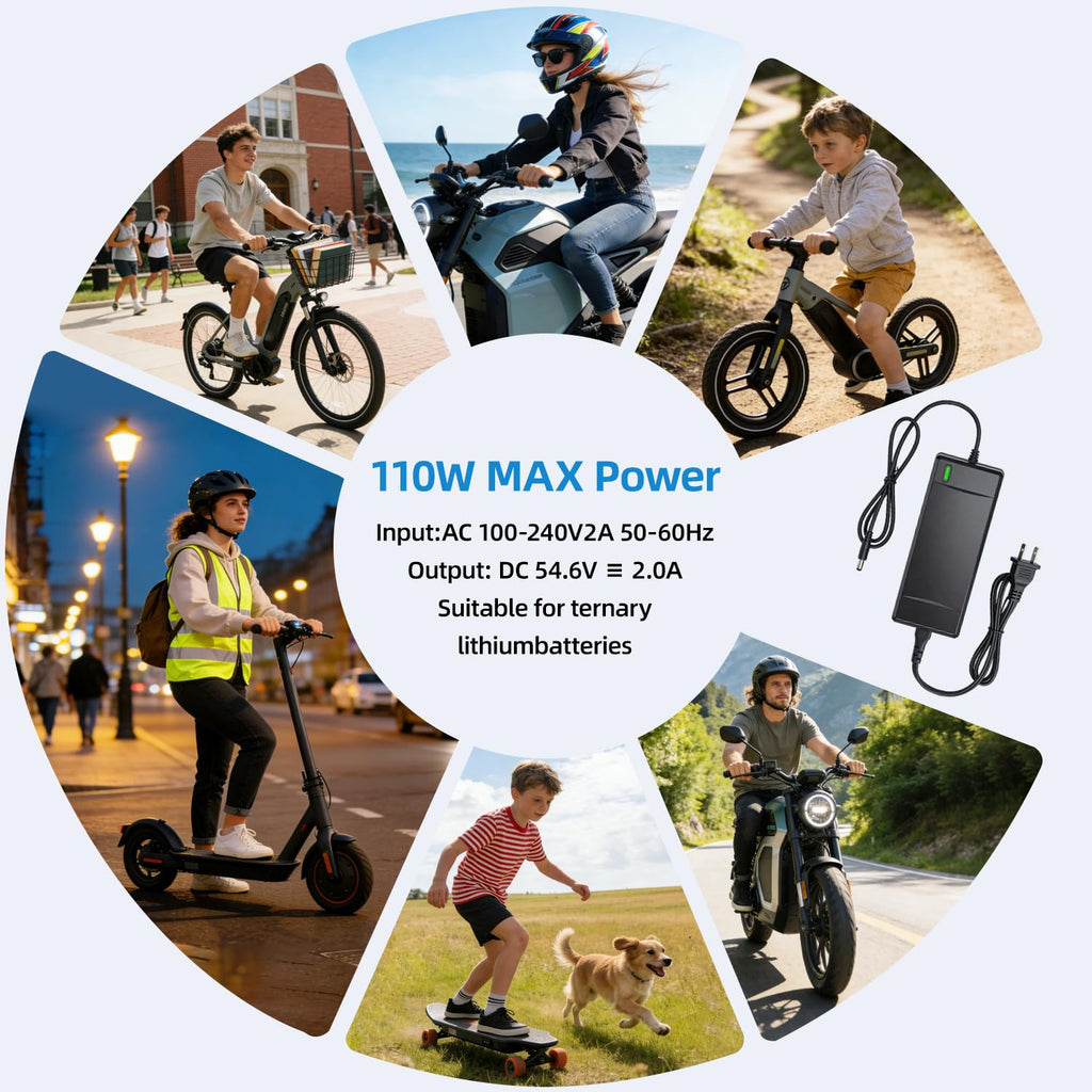 54.6V 2A Electric Bike Charger D183