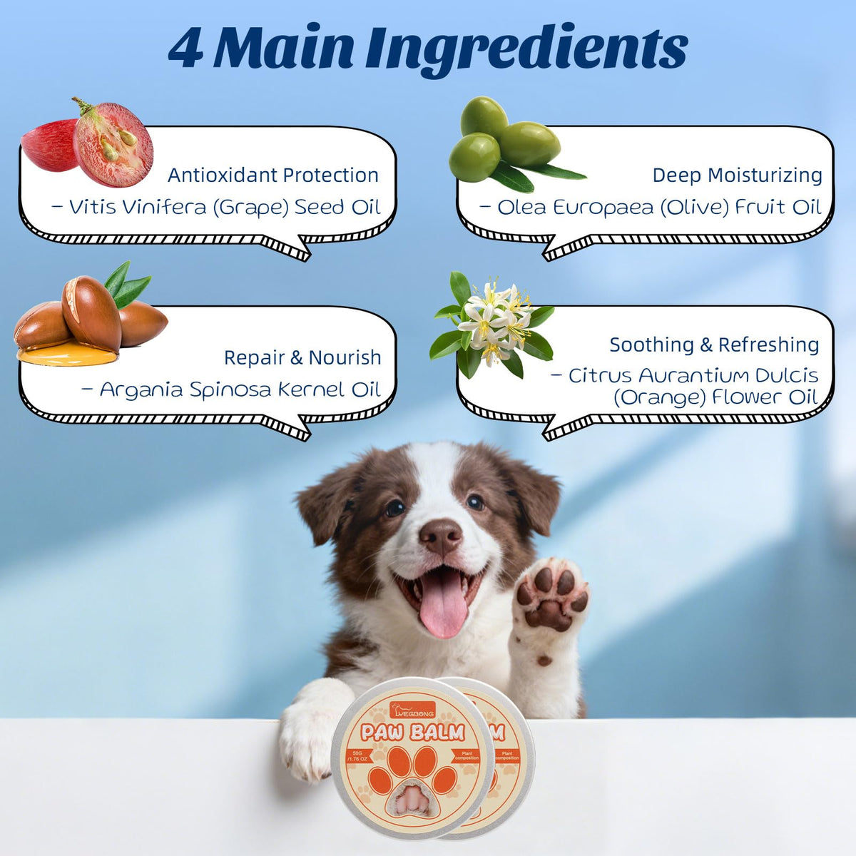 Coconut Chicken Flavor Dog Toothpaste with Toothbrush Kit 2.1oz M65259