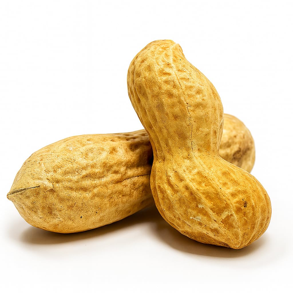 Raw Unsalted Peanuts in Shell 2.5lb E952015