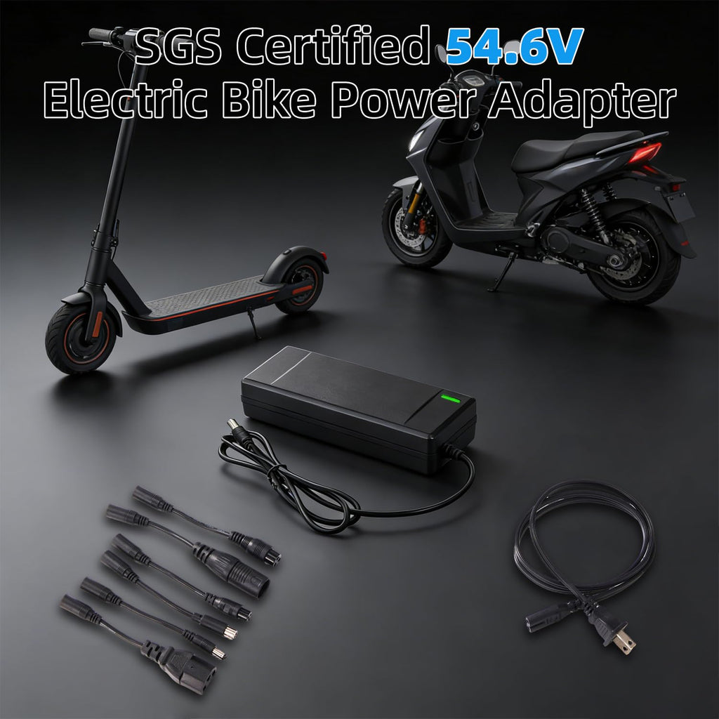 54.6V 2A Electric Bike Charger D183