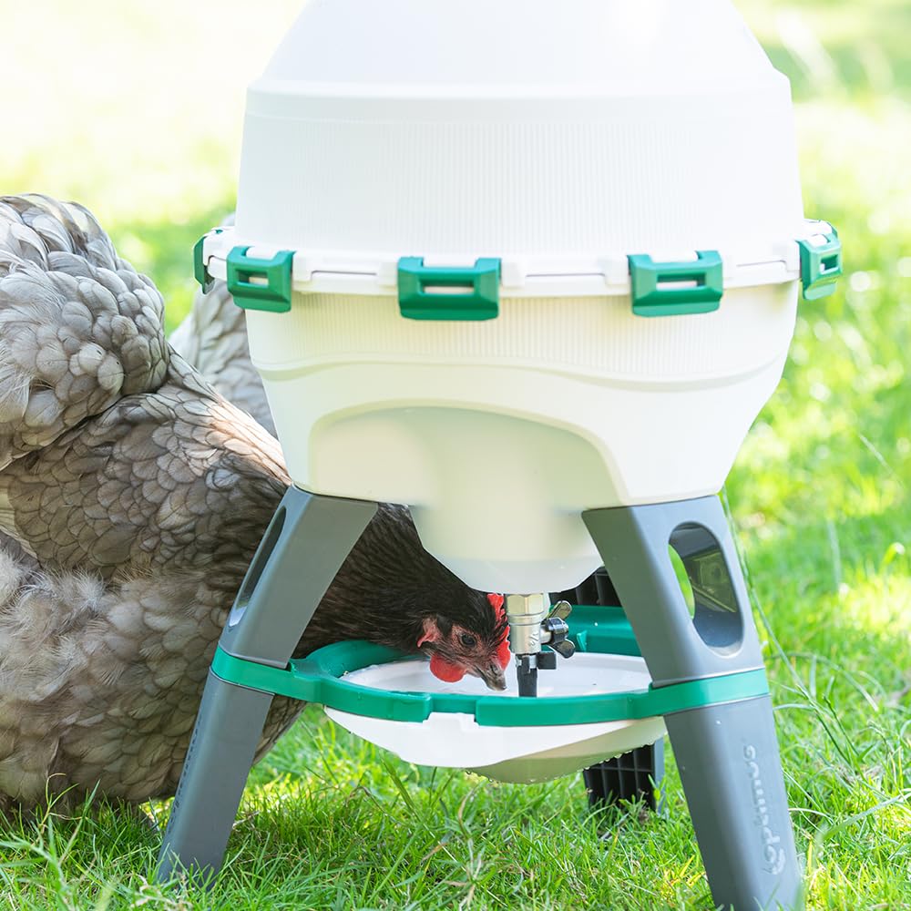 6 Gallon Top Fill Gravity Fed Poultry Waterer I240