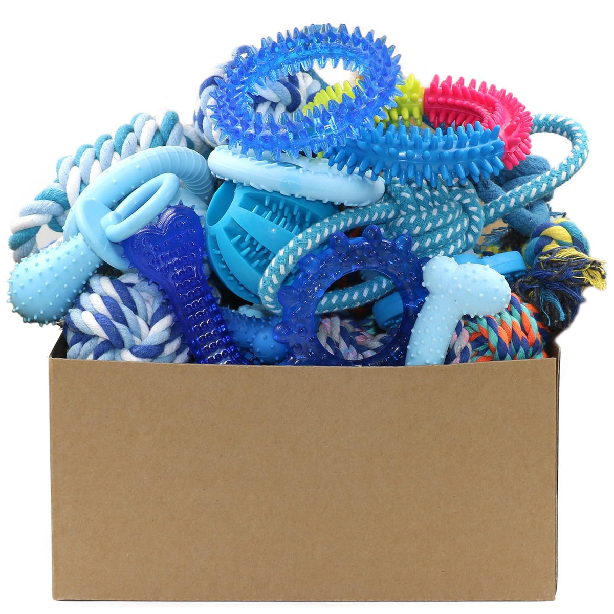 20 Pack Puppy Chew Toys R3487