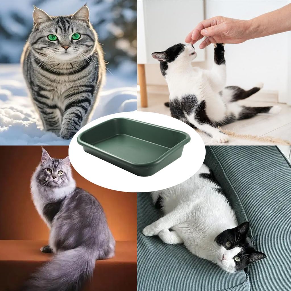 Extra Large High Sides Low Entry ABS Litter Box W83946