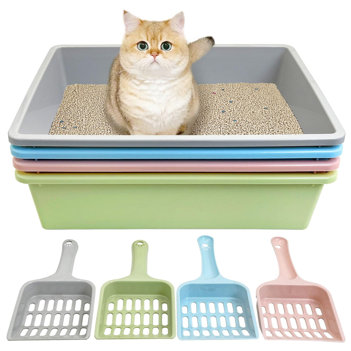 Medium Open Cat Litter Box with Scoop, Non-Stick Plastic, 15 x 11 x 4 Inches L608