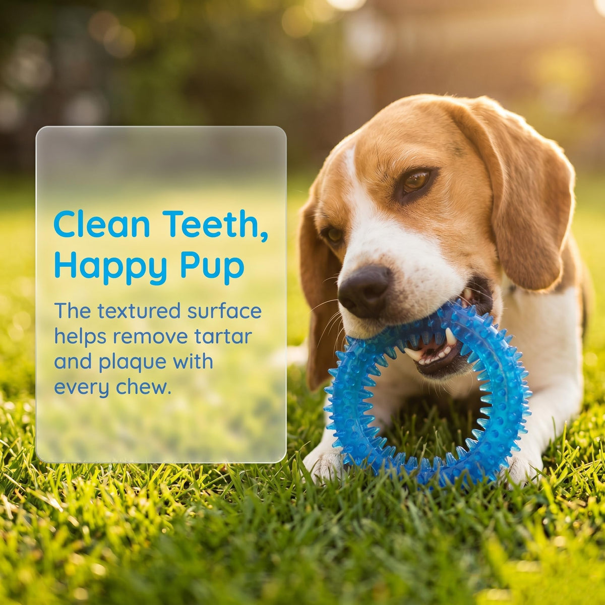 20 Pack Puppy Chew Toys R3487