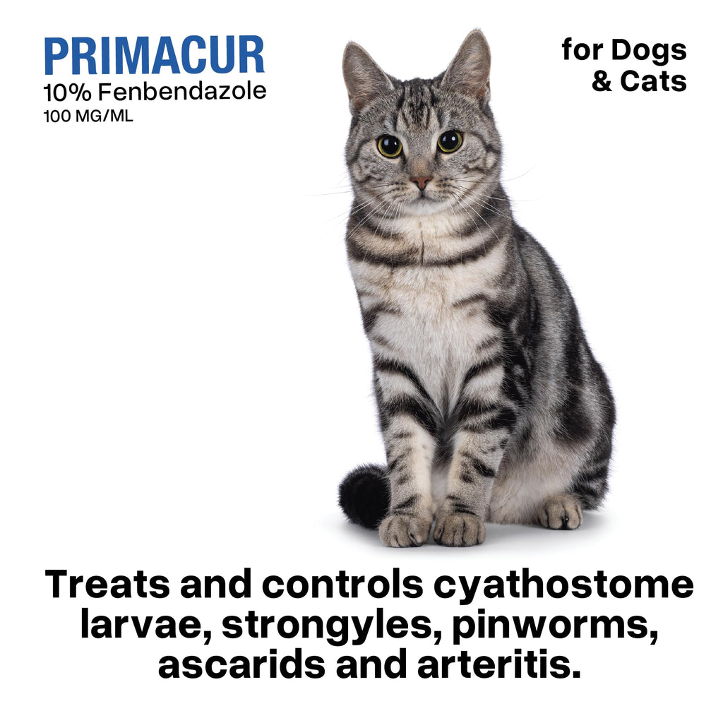 Broad-Spectrum Oral Suspension 10% for Dogs and Cats 120ML/4.1oz Bacon Flavor U26624