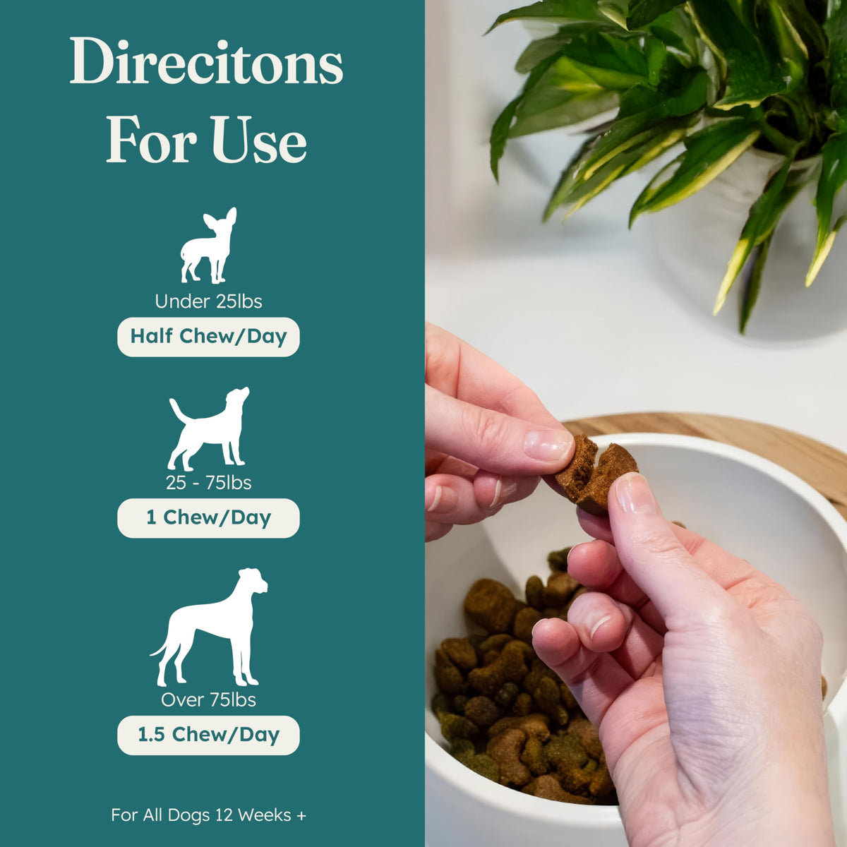 30 Soft Chews Pork Flavor Kidney Supplement for Dogs Z713019