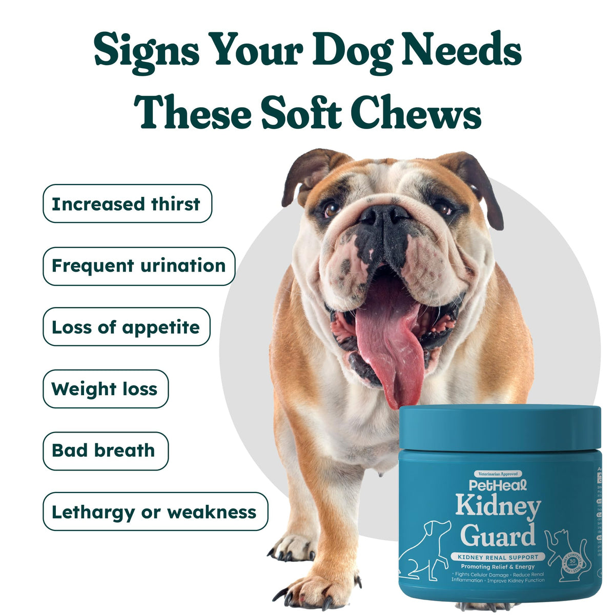 30 Soft Chews Pork Flavor Kidney Supplement for Dogs Z713019