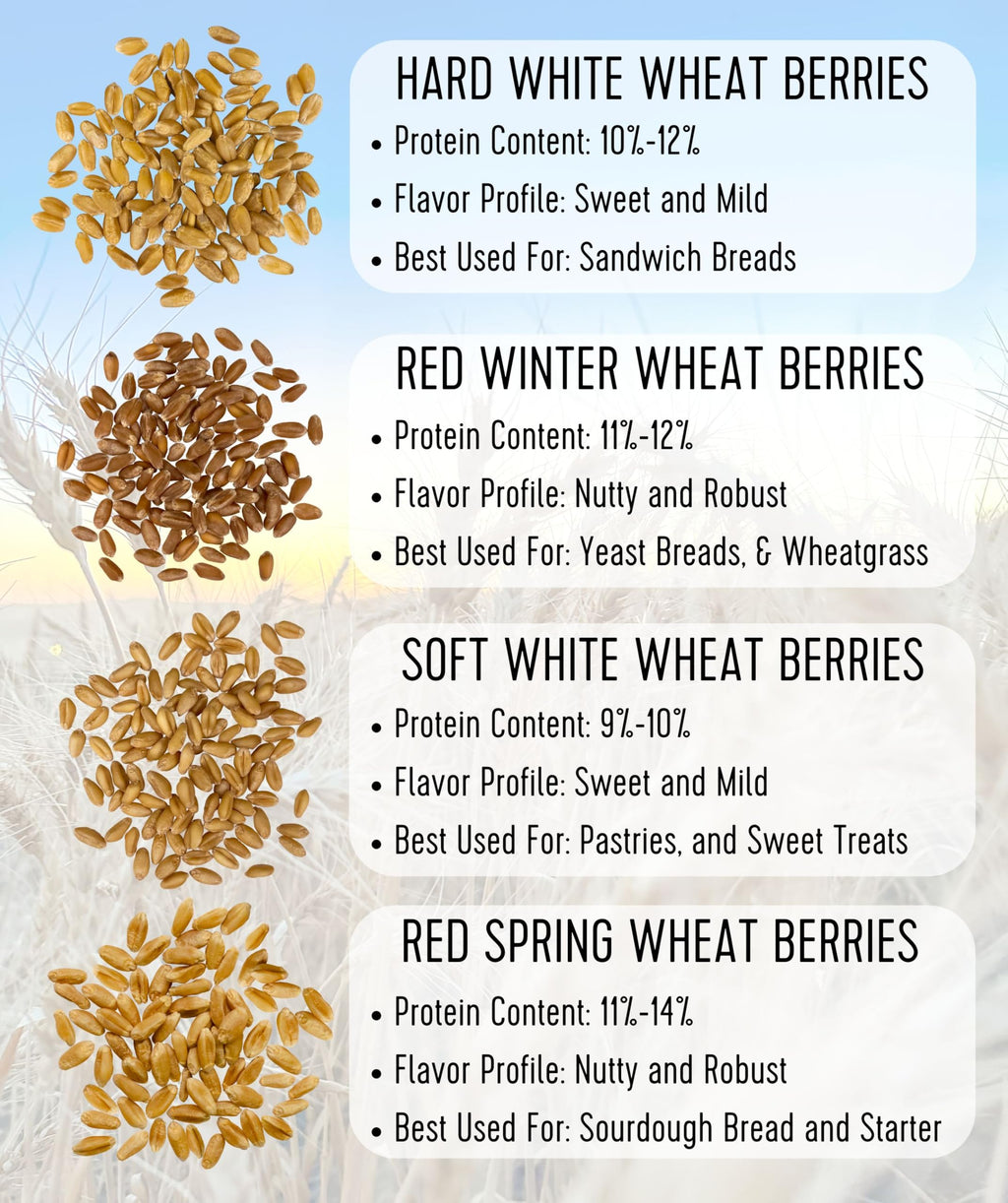 Hard Red Winter Wheat Berries 25 LBS Bag Sproutable Non-GMO Kosher E3476