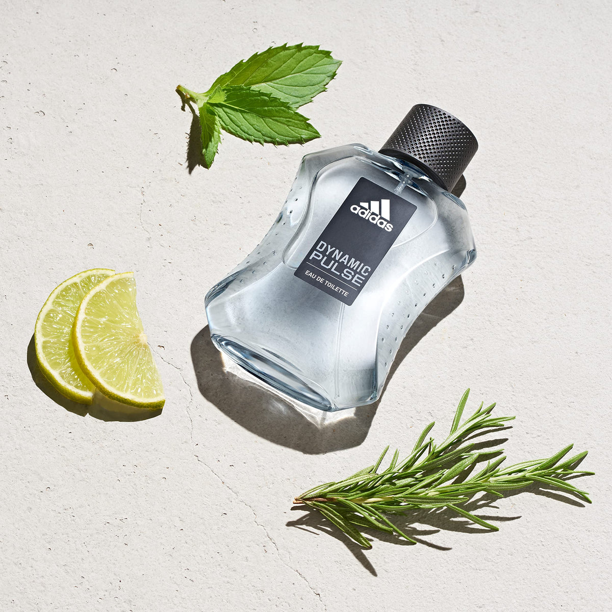 Eau de Toilette 3.3 fl oz Mint Apple Wood Men's Fragrance S893